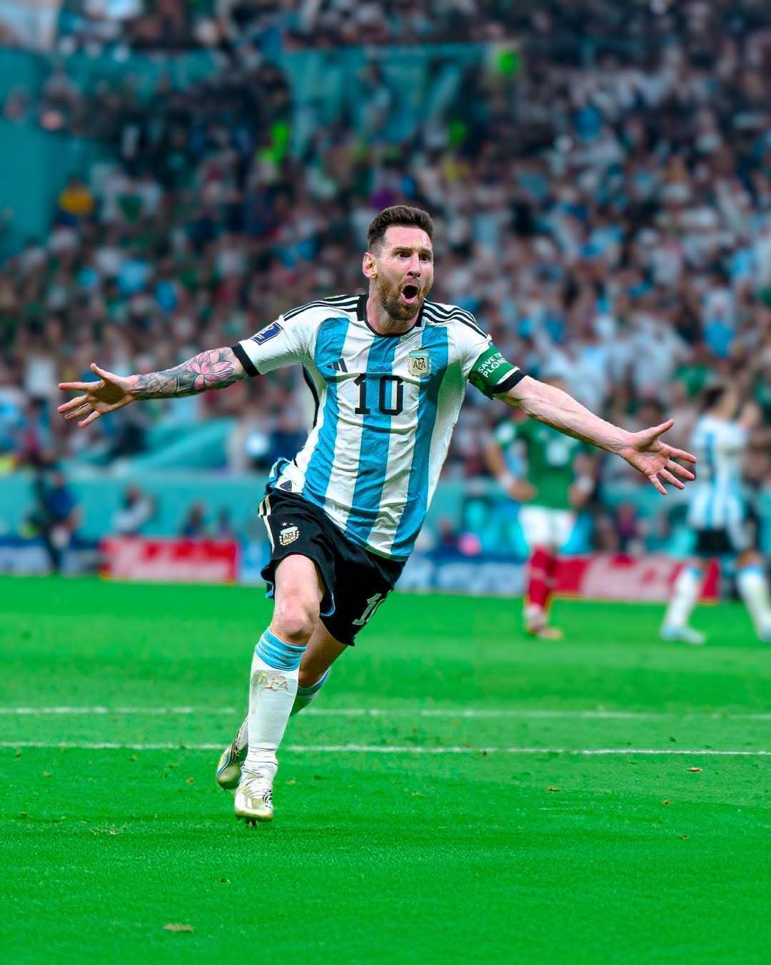 显然还有提 显然还有提